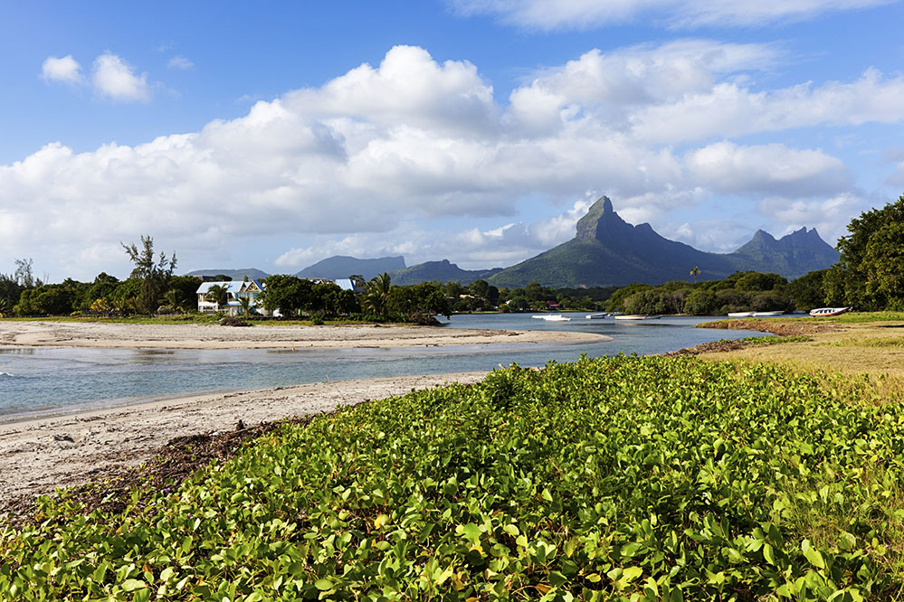 Tamarin Beach (Credit: istock.com)